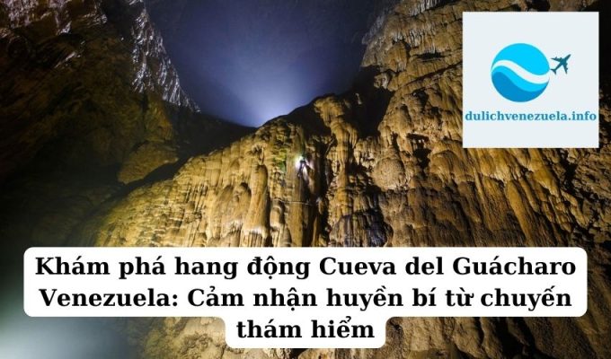 Khám phá hang động Cueva del Guácharo Venezuela Cảm nhận huyền bí từ chuyến thám hiểm