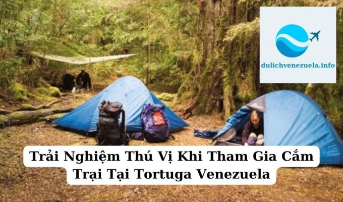 Trải Nghiệm Thú Vị Khi Tham Gia Cắm Trại Tại Tortuga Venezuela